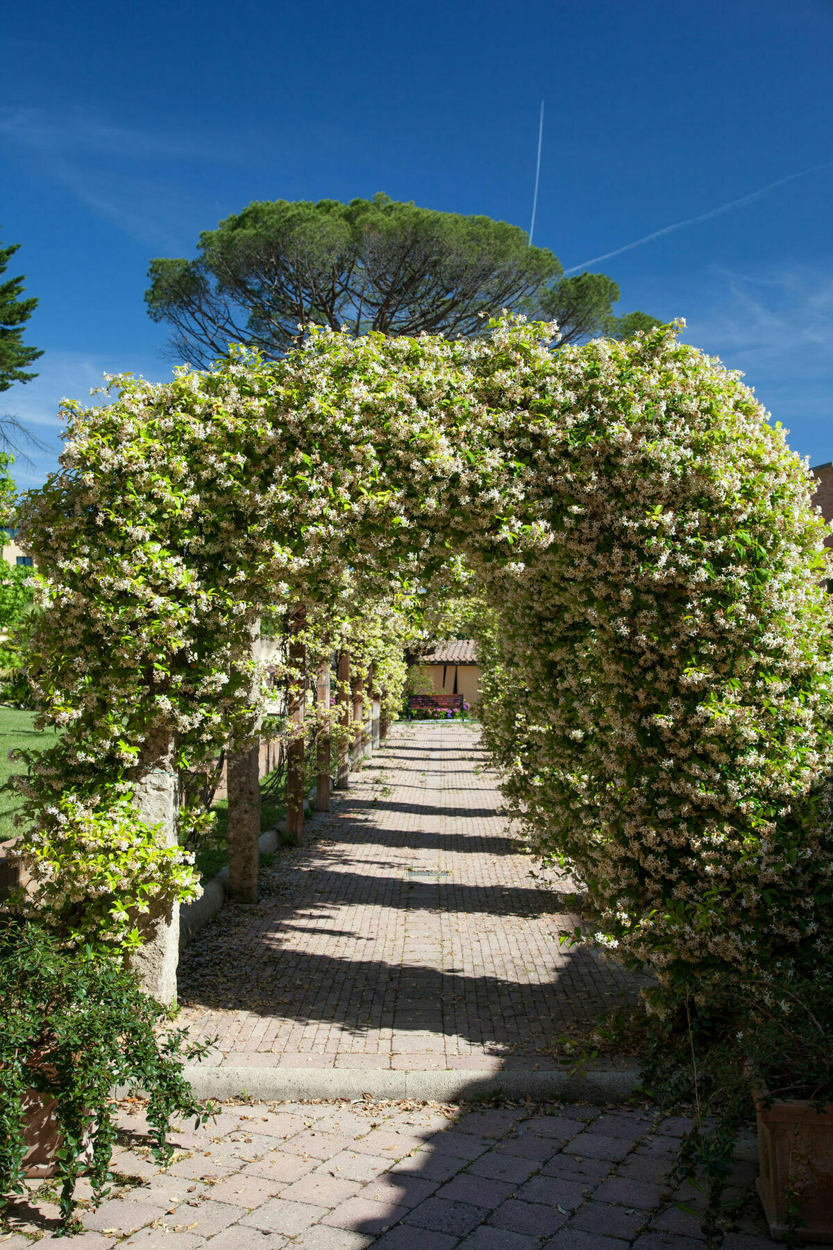 Villa Borri Casciana Terme Exterior photo